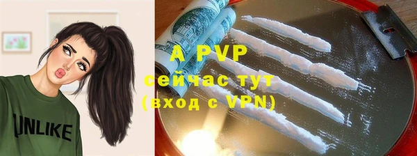 гидра Волоколамск
