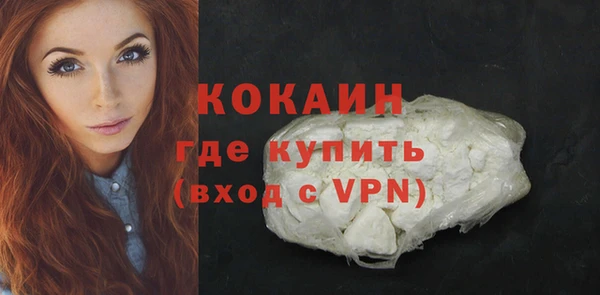 гидра Волоколамск