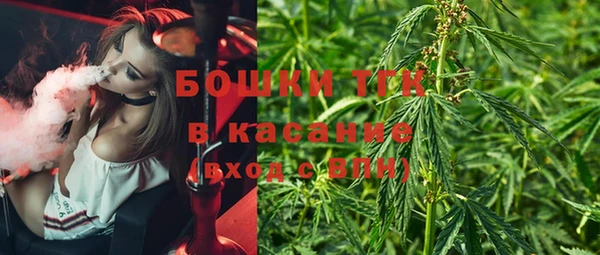 гидра Волоколамск