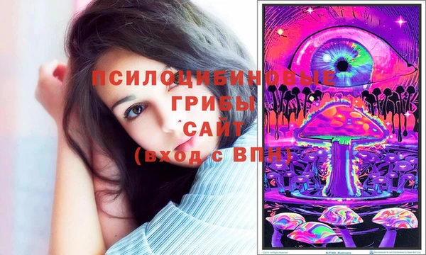 гидра Волоколамск